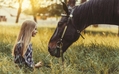 3 tipologie di corsi pet therapy IAA con i cavalli