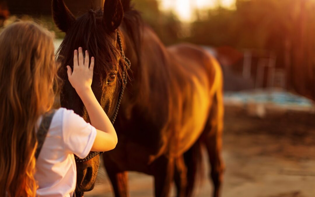 Pet therapy cavalli a quali persone è consigliata